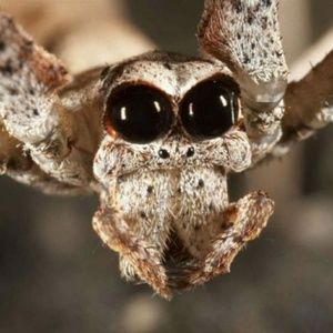 Meet your Posher, Nicholas